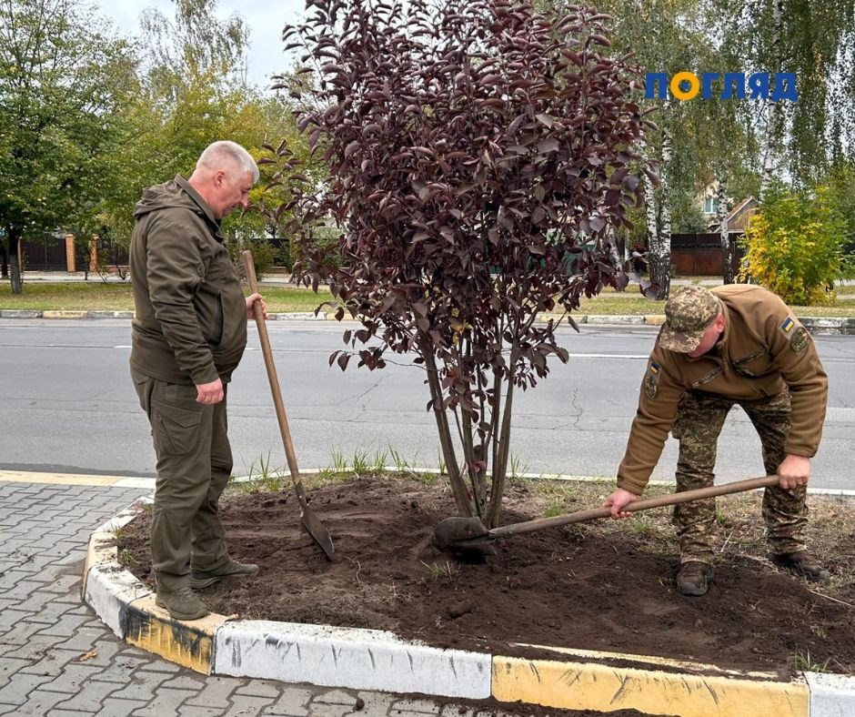 У Гостомелі висадили дерева в парку 